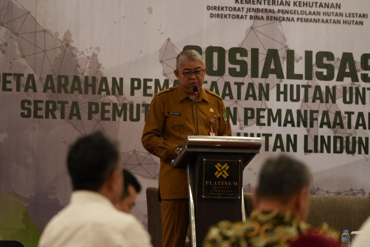 Sosialiasi Peta Arahan Pemanfaatan Hutan Untuk Perizinan Berusaha Pemanfaatan Hutan Tahun 2025
