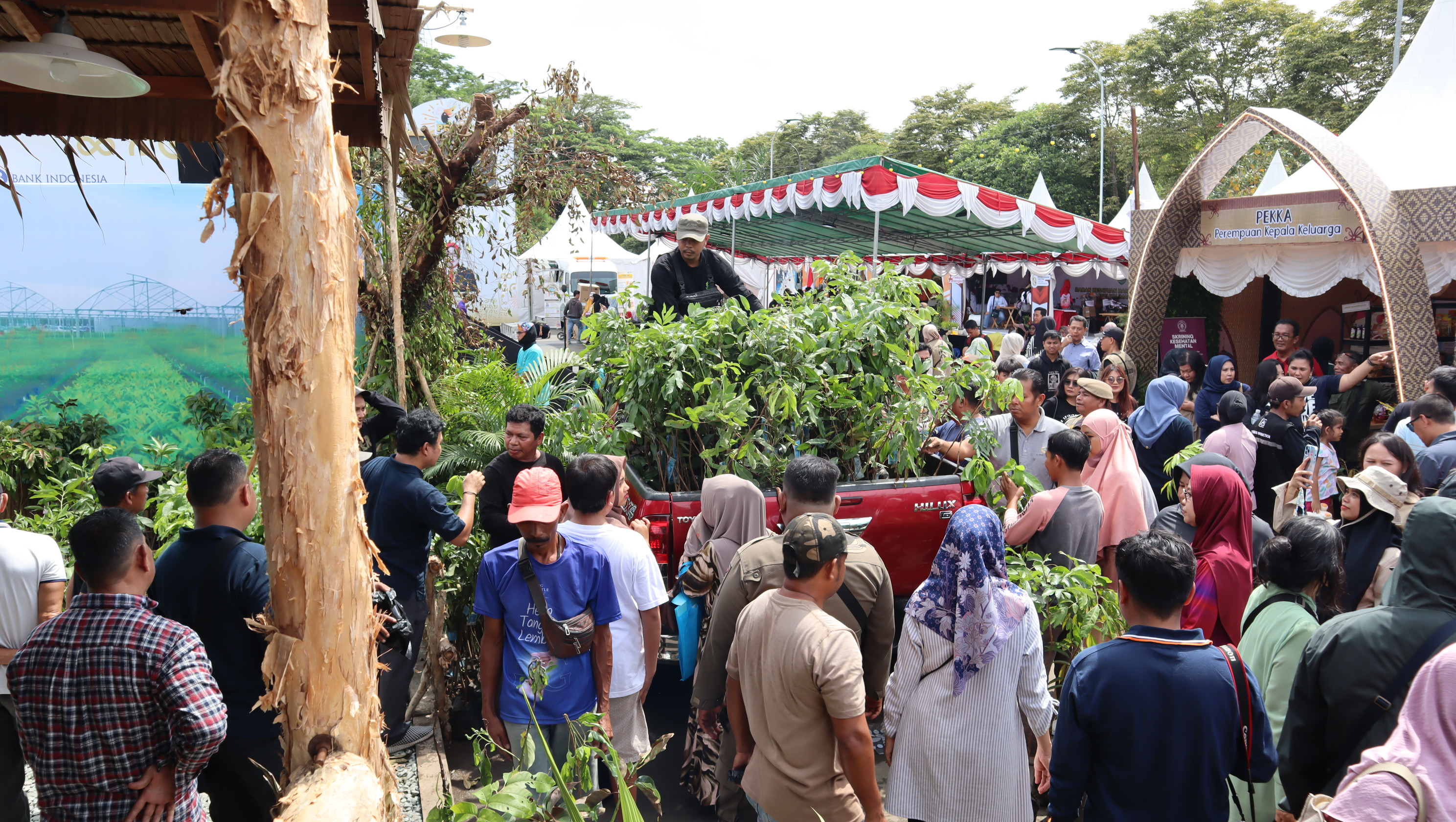 Pembagian Bibit Gratis Dalam Rangka PRK Tahun 2025